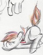 Firecry_Sundae author_fancy colour crayon doodle female filly ink ink_sketch off_model pony practice rump sketch suggestive // 726x926 // 154.5KB
